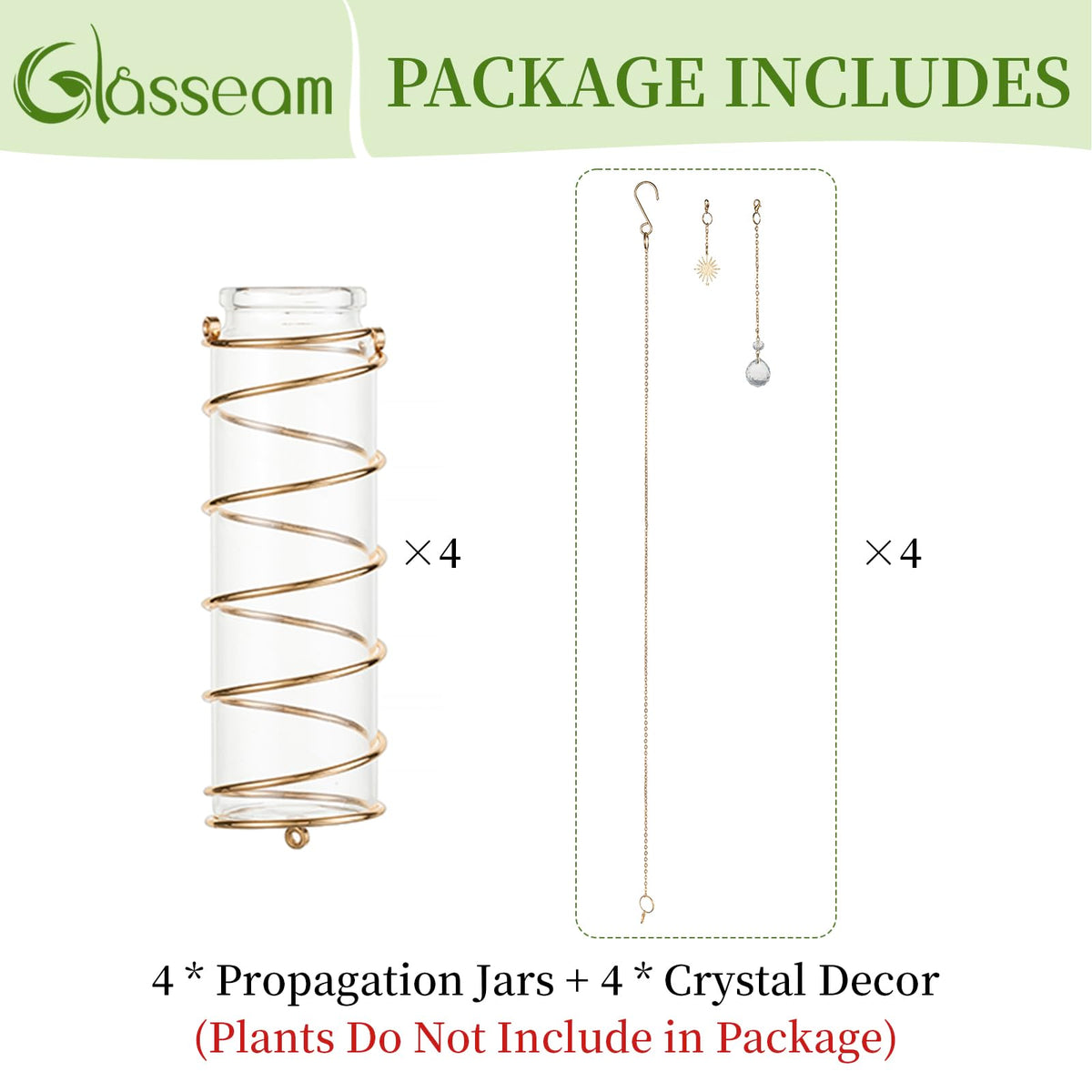 Glasseam gift for women propagation station showcased as thoughtful present