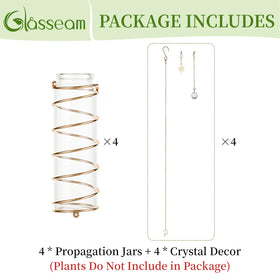 Glasseam gift for women propagation station showcased as thoughtful present