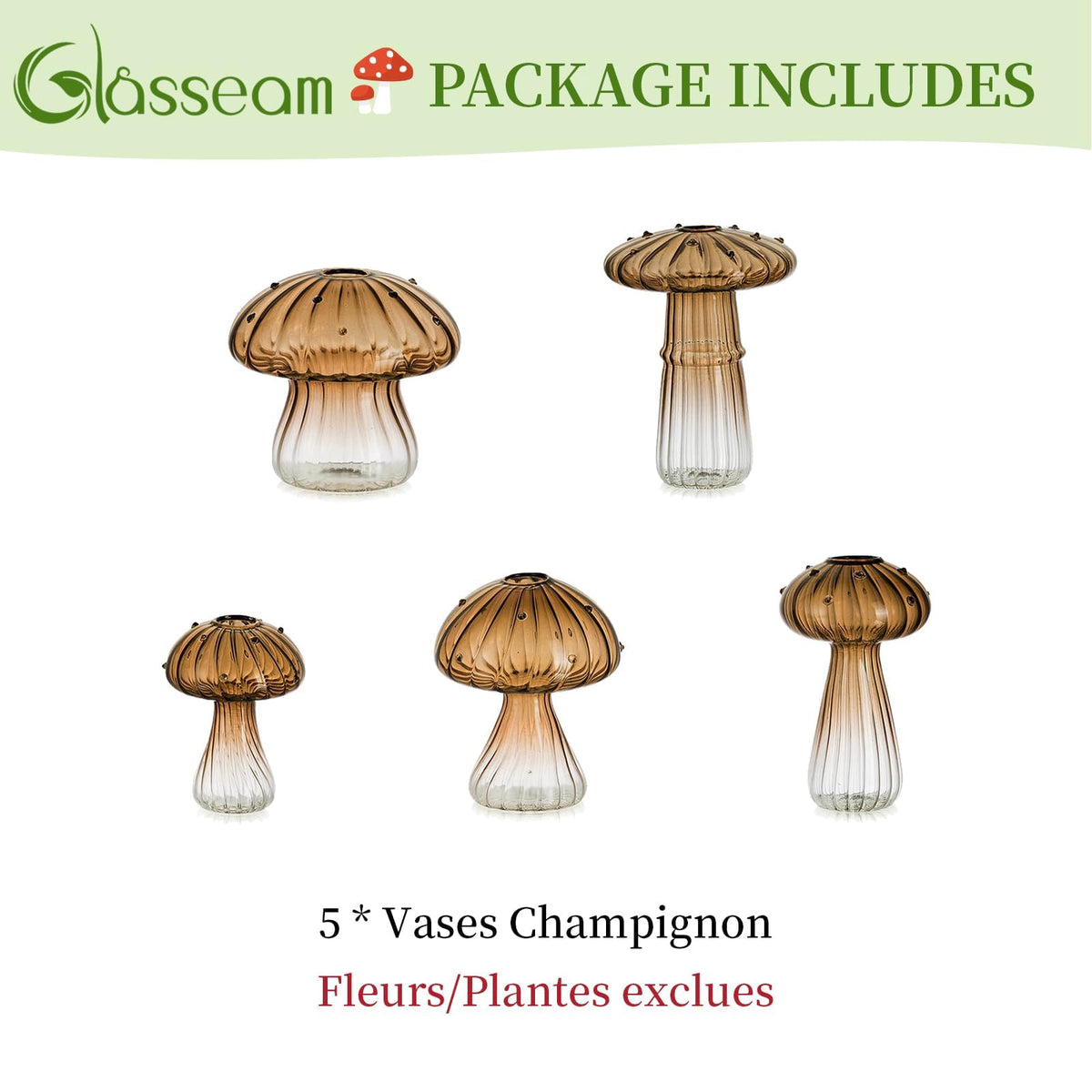 Glasseam gift-ready packaging enhances presentable plant decor