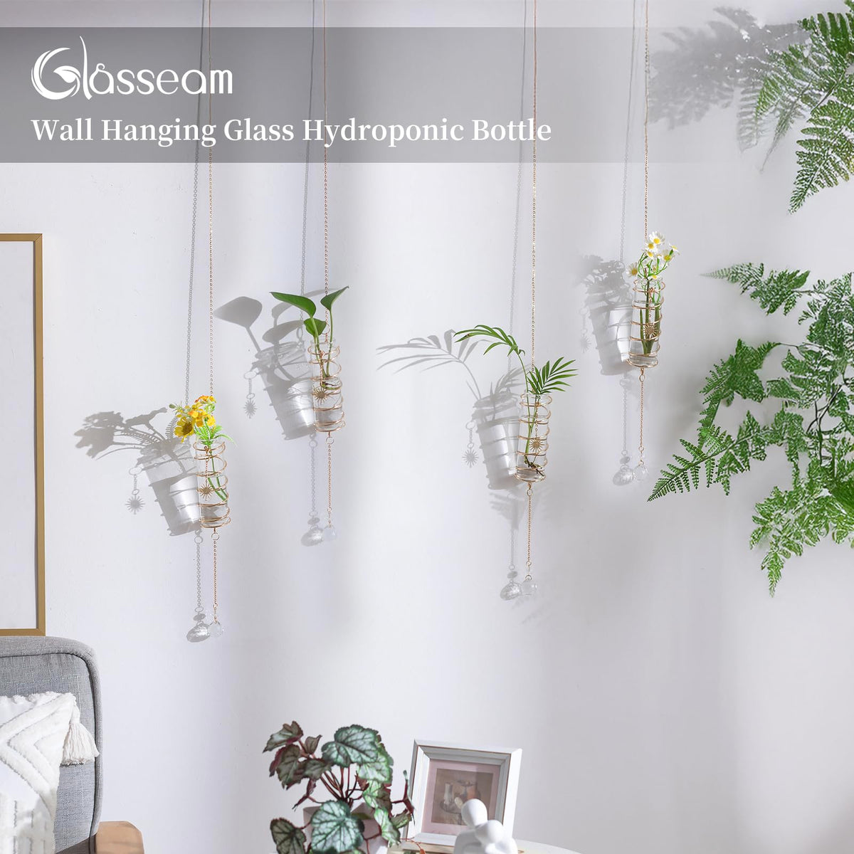 Glasseam glass wall planter display mounted on a modern wall