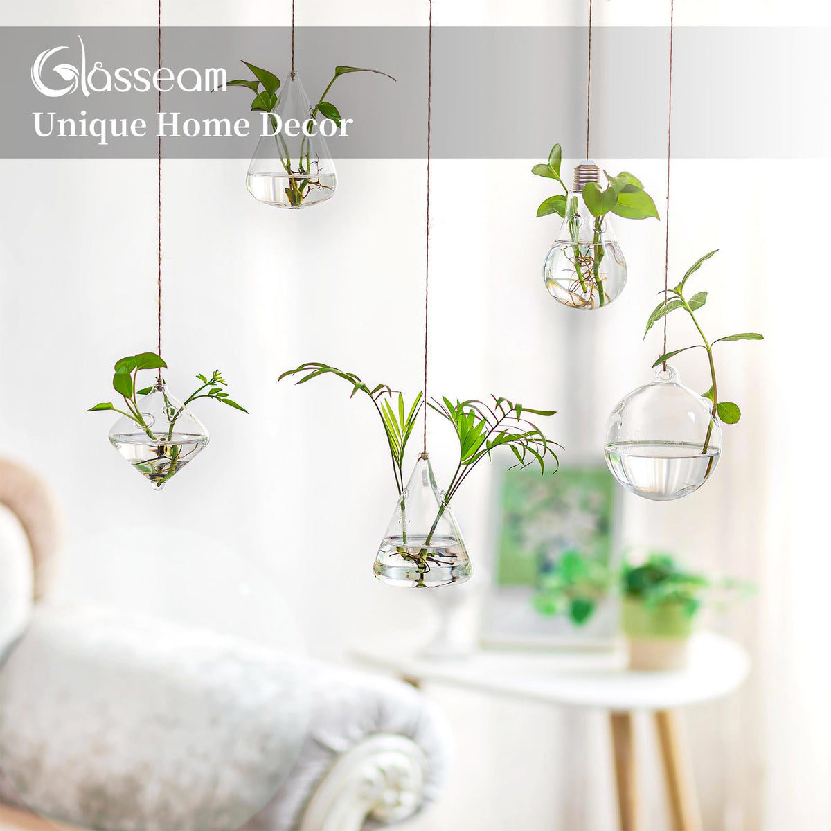 Glasseam hand blown borosilicate glass vases showcase delicate plant displays