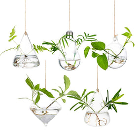 Glasseam hanging planters glass terrarium with five-piece display for stylish propagation