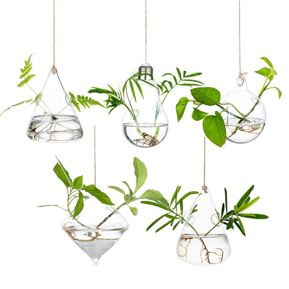 Glasseam hanging planters glass terrarium with five-piece display for stylish propagation