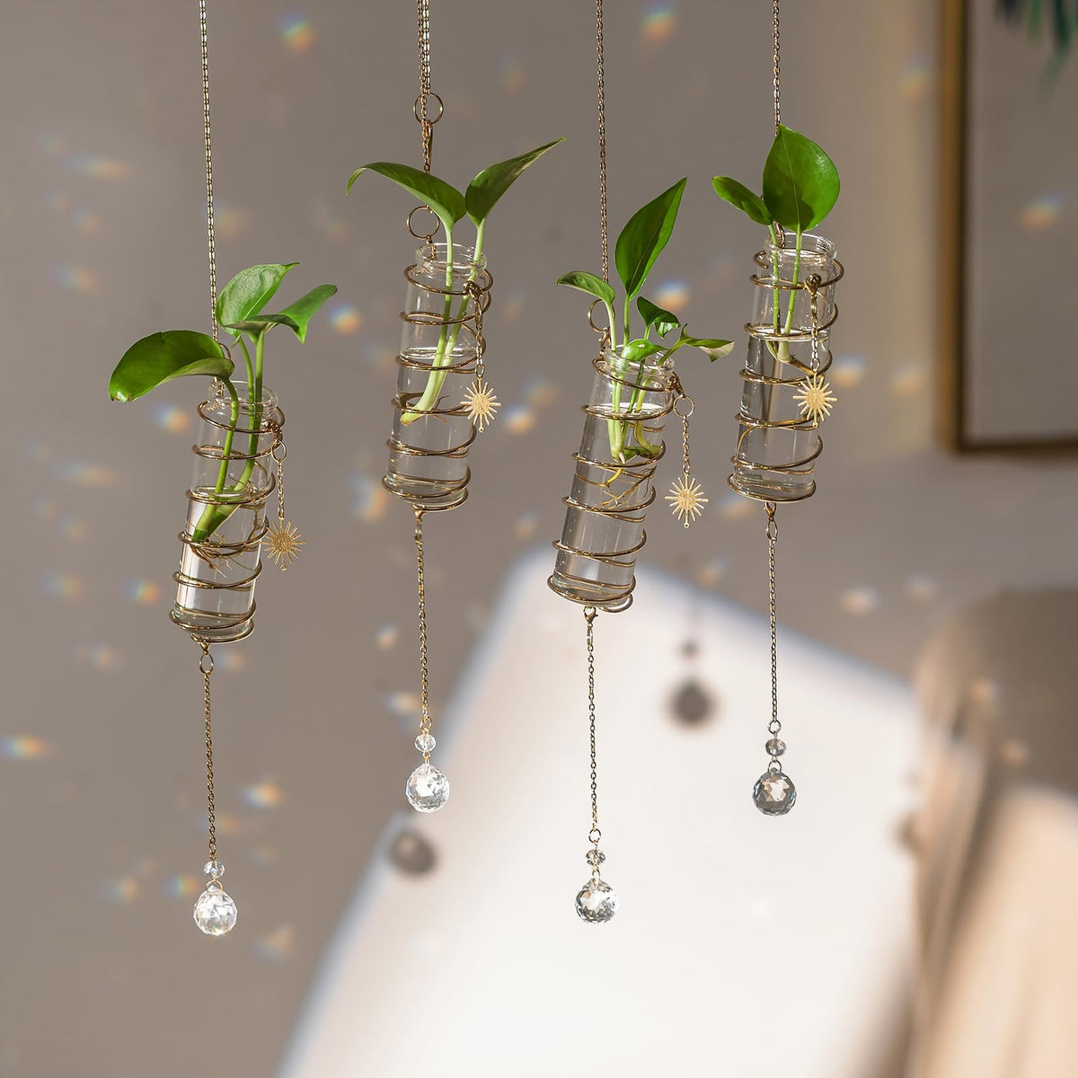 Glasseam hanging propagation stations with glass tubes for root growth and display