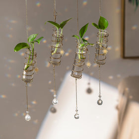 Glasseam hanging propagation stations with glass tubes for root growth and display