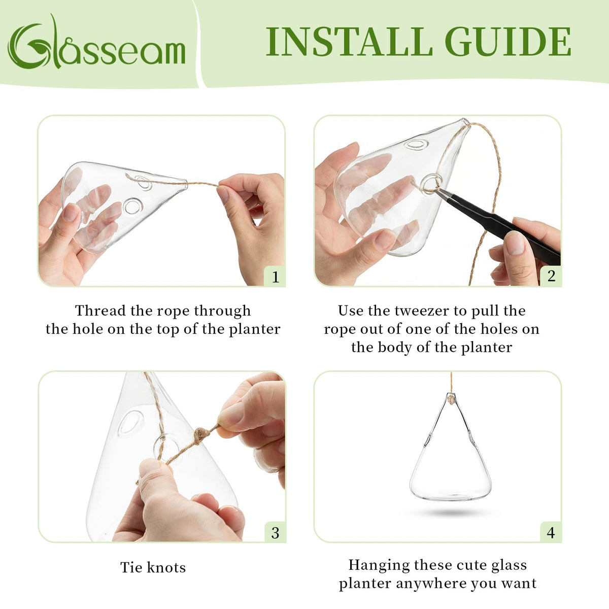 Glasseam hydroponic propagation observations with transparent chambers for easy monitoring