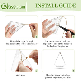 Glasseam hydroponic propagation observations with transparent chambers for easy monitoring