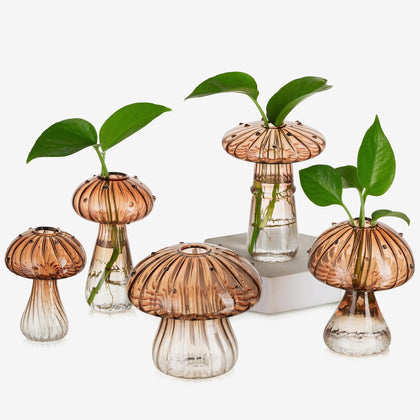 Glasseam mushroom propagation jar in amber glass adds warm color to indoor decor