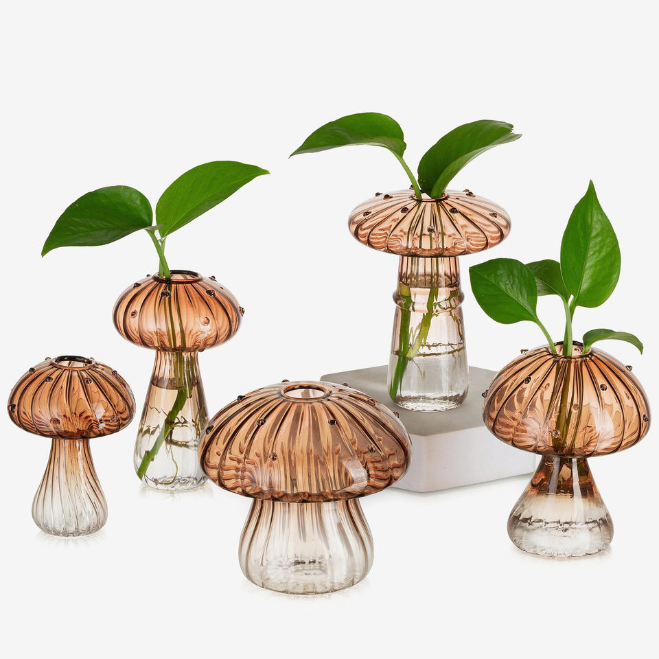 Glasseam mushroom propagation jar in amber glass adds warm color to indoor decor