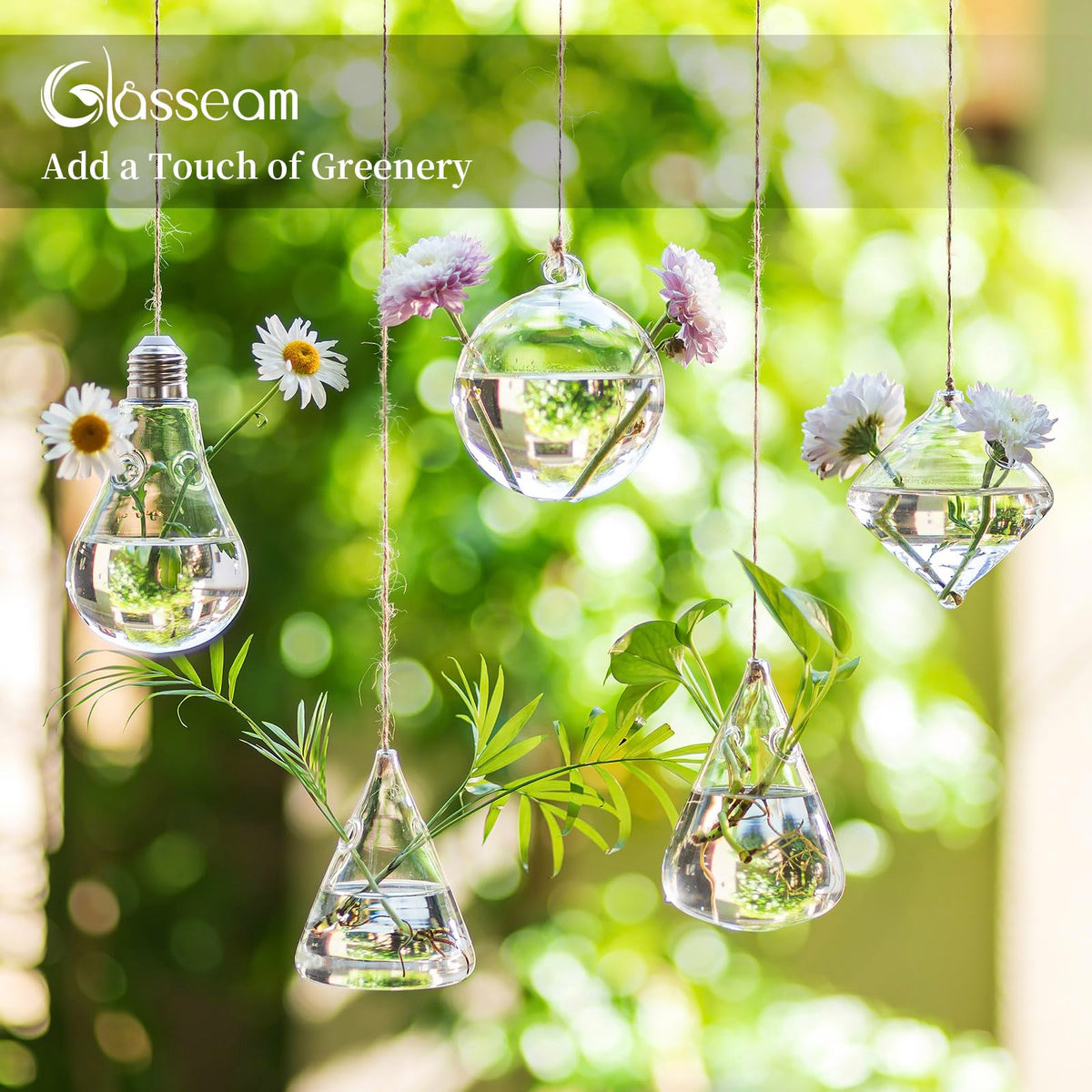 Glasseam propagation station clear vases ideal to observe root growth during hydroponics