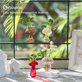 Glasseam suction cup hanging plant vase ready for wall display.