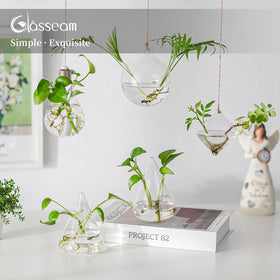 Glasseam varied shapes wall planter adds creative wall art for greenery