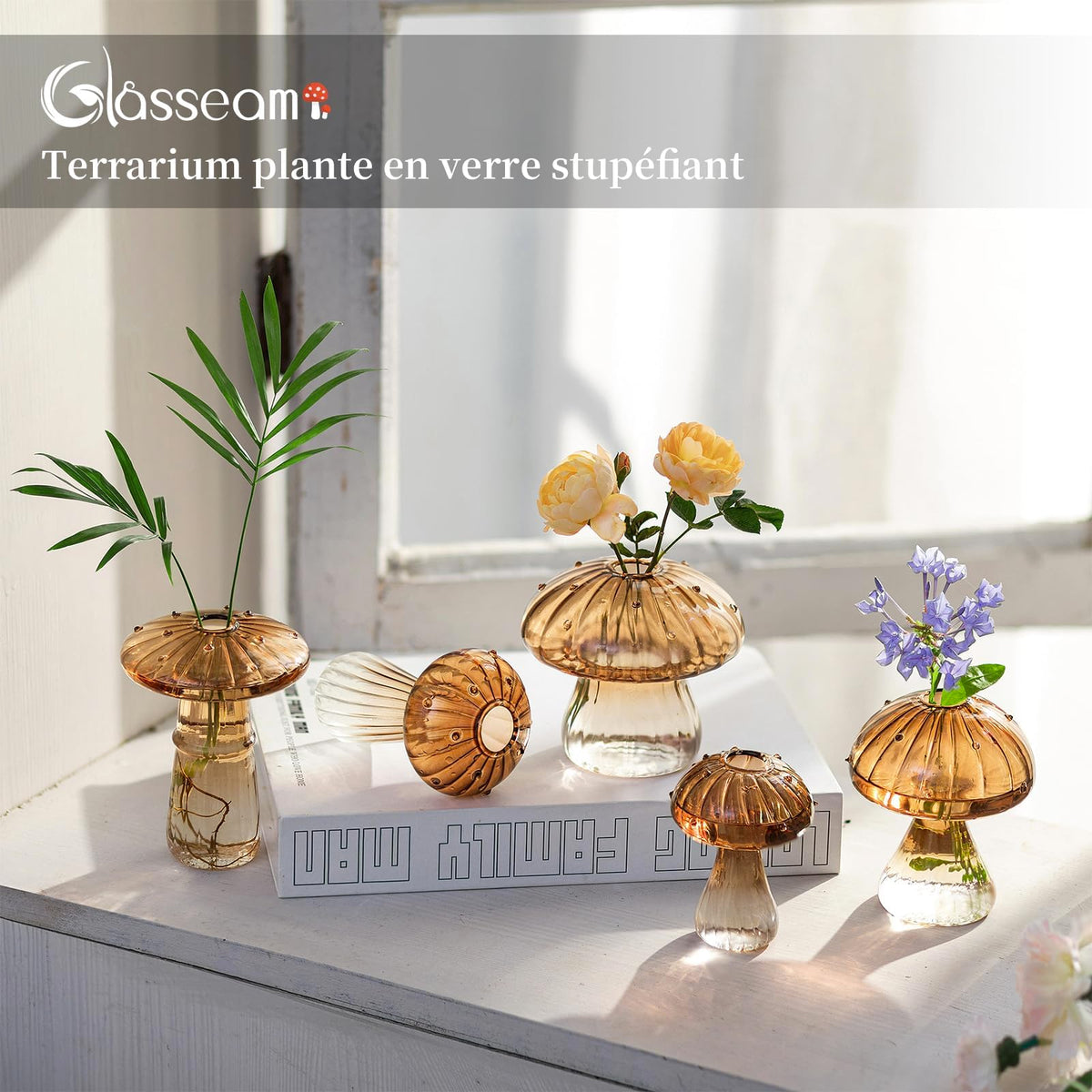Glasseam wide-base mushroom glass terrarium for stable display