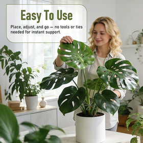 GLCSC growth-friendly stem support adapts to plant growth