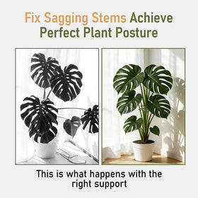 GLCSC indoor plants with forest green support blend invisibly into the display