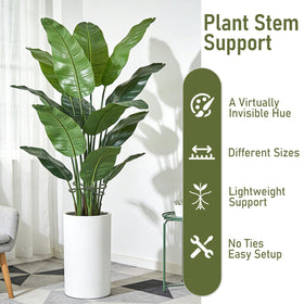 GLCSC invisible forest-green stem support blends with foliage