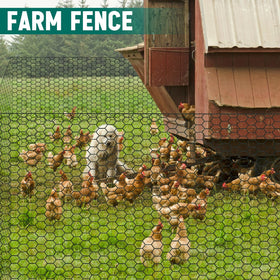 GlikCeil black finish adds aesthetic appeal while securing crops.