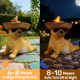 Glintoper solar light on hat bird detail provides a soft evening glow.