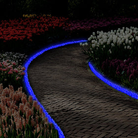 GLOCARNIVAL luminous pebbles for fairy gardens creating nighttime magic