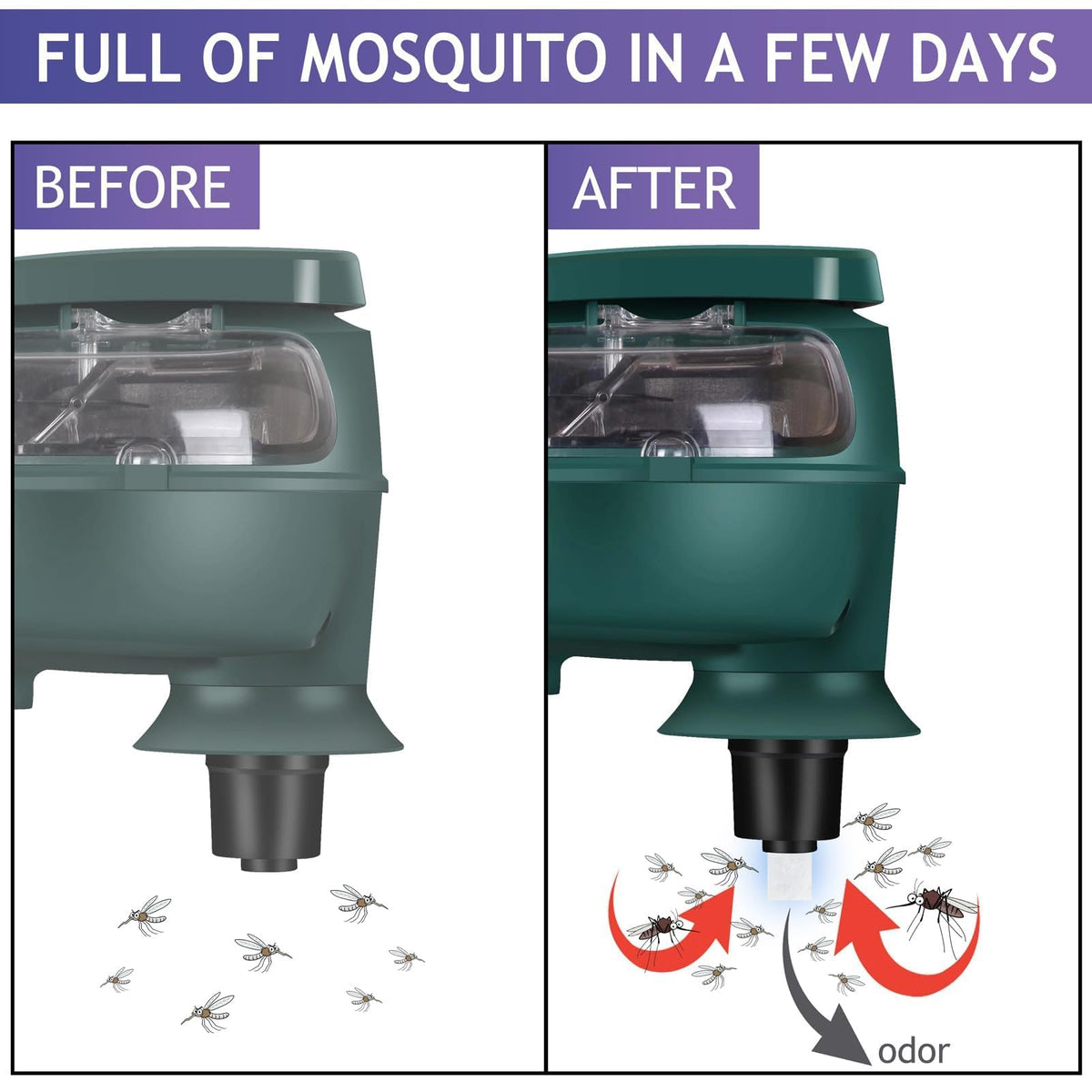 Glovv attractant used indoors and outdoors for mosquito management.