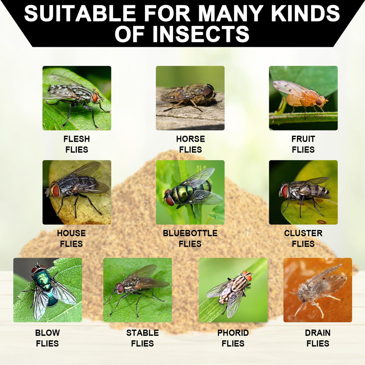 Glovv backyard fly trap in use attracting multiple fly types