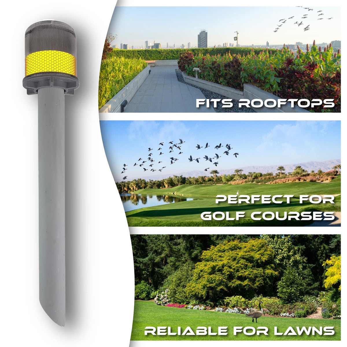 GLOWMAX humane outdoor deterrent keeps spaces bird-free without chemicals