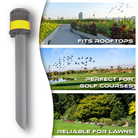 GLOWMAX humane outdoor deterrent keeps spaces bird-free without chemicals