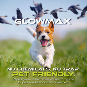 GLOWMAX nighttime 360-degree flash disrupts roosting and nesting in birds
