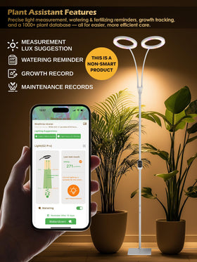 Glowrium adjustable height lamp head enables precise lighting for tall plants