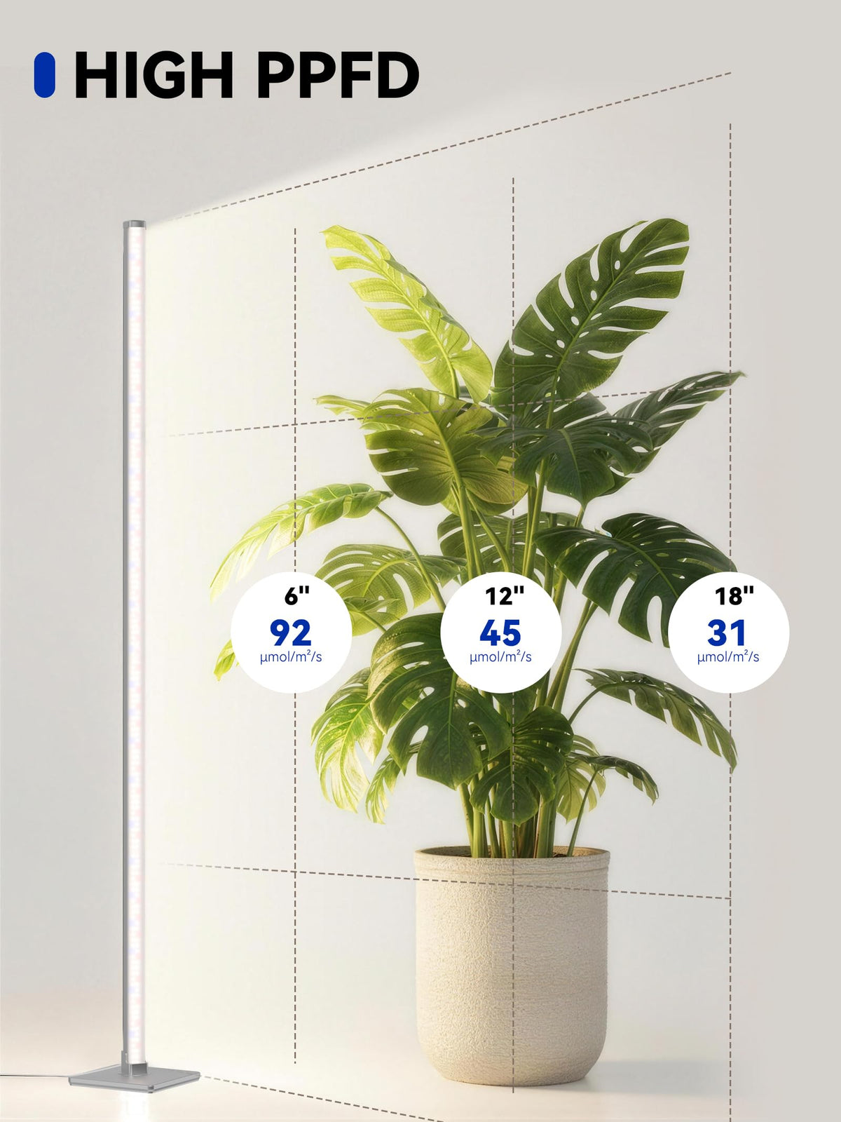 GLOWRIUM auto-timer control panel simplifies scheduling for consistent lighting.