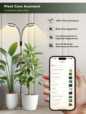 GLOWRIUM black finish lamp adds a sleek, modern touch.