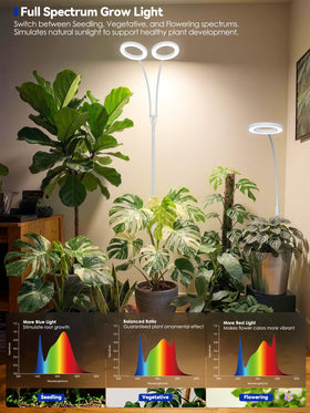 GLOWRIUM detachable aluminum structure highlights lightweight, durable setup.