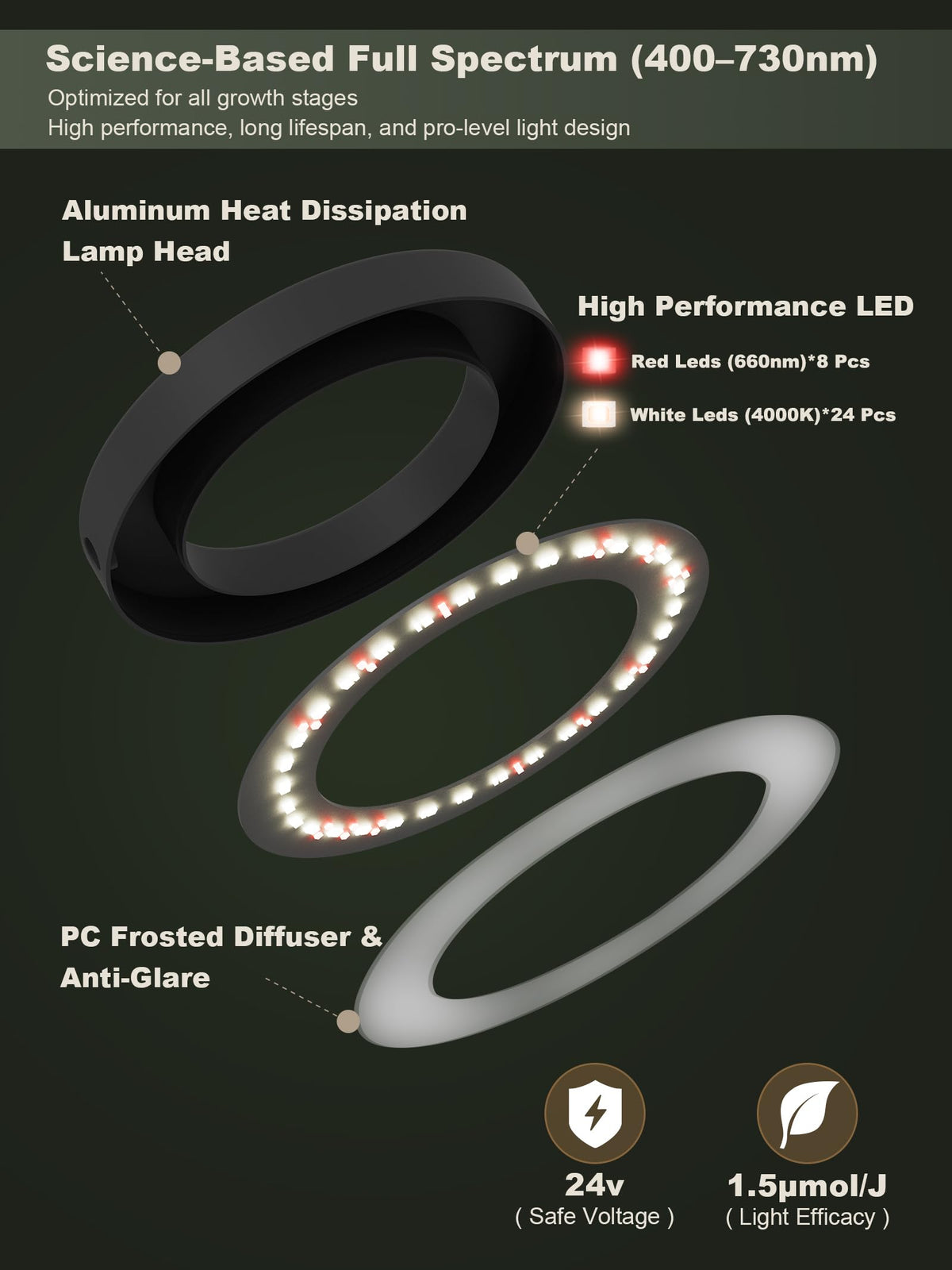 Glowrium diffused 60-degree lens ensures even light across the canopy