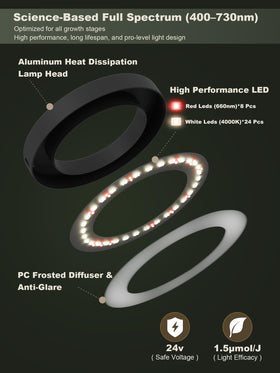 Glowrium diffused 60-degree lens ensures even light across the canopy