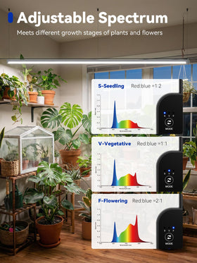 GLOWRIUM full-spectrum LED supports vegetative and flowering stages.