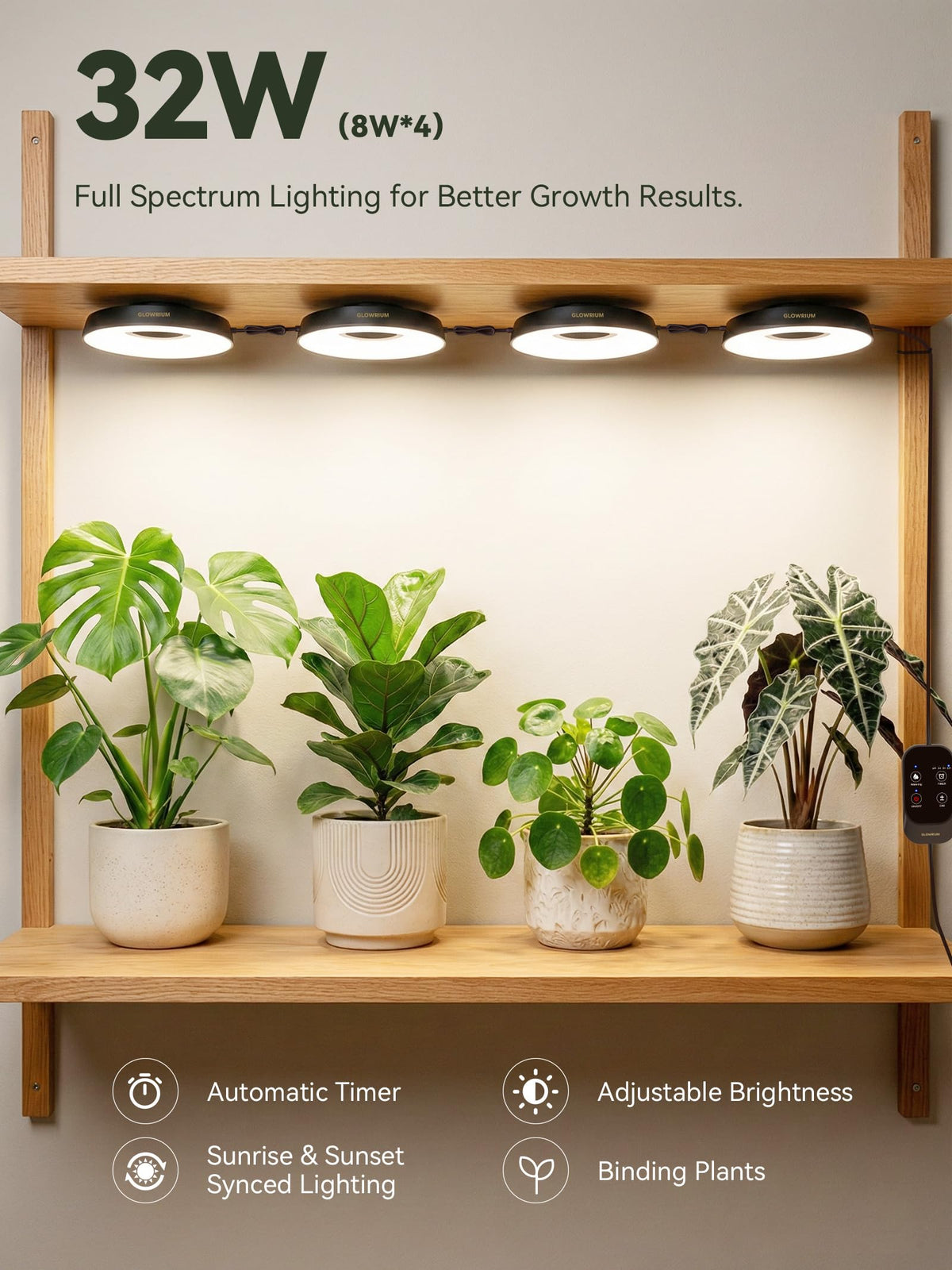 GlowRium full-spectrum LED glow aiding healthy growth from seedling to flowering