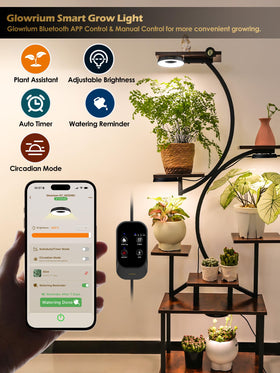 Glowrium G7 dimming control panel enabling precise brightness adjustments.