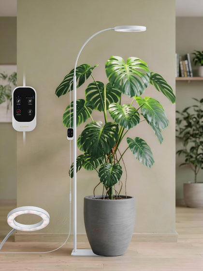 GLOWRIUM grow light base stand secures stability for indoor use.
