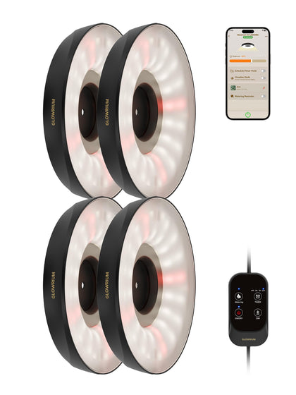 GlowRium grow light on an indoor plant shelf boosting seedling vigor with full-spectrum LEDs