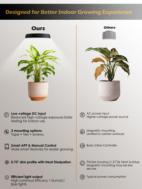 Glowrium grow light with watering reminders for plant care