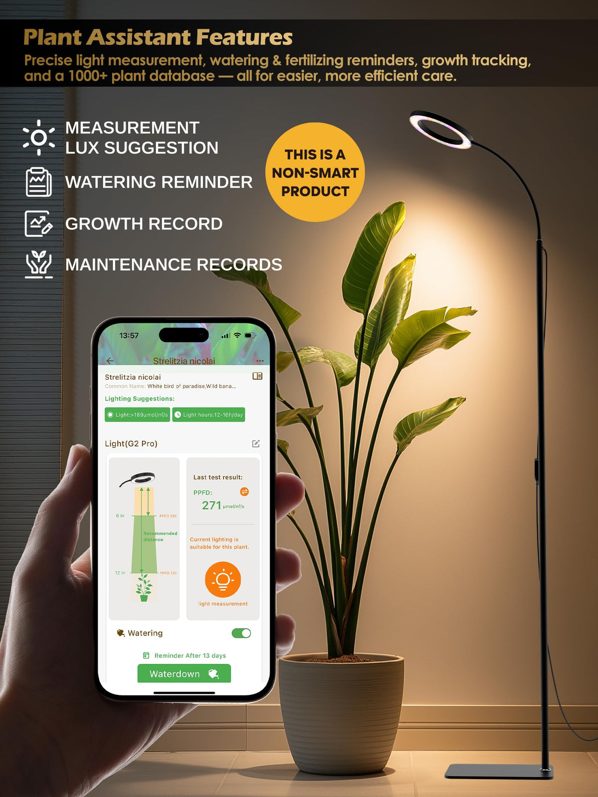 Glowrium three-mode switch tailors light spectrum for plant needs.