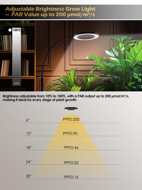 Glowrium timer settings support 3/9/12/16 hours for automated lighting.