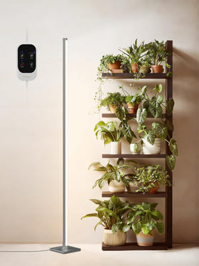 GLOWRIUM standing grow light with vertical illumination for even indoor plant coverage.