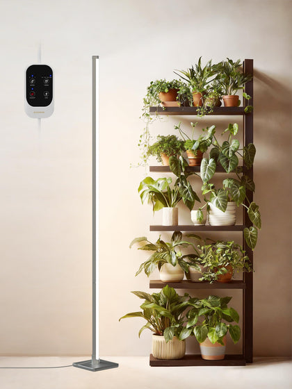 GLOWRIUM standing grow light with vertical illumination for even indoor plant coverage.