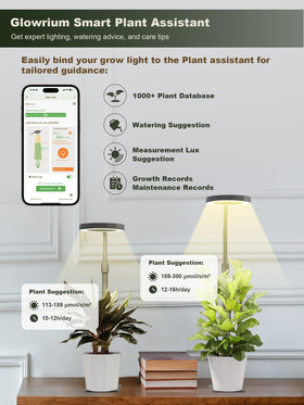 Glowrium sturdy metal base provides stable setup for indoor gardens