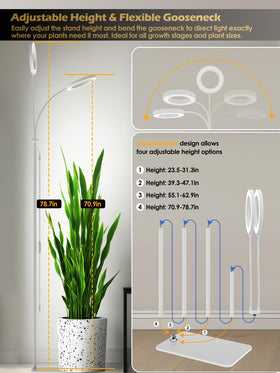 Glowrium timer modes 3h, 9h, 12h, 16h automate lighting cycles