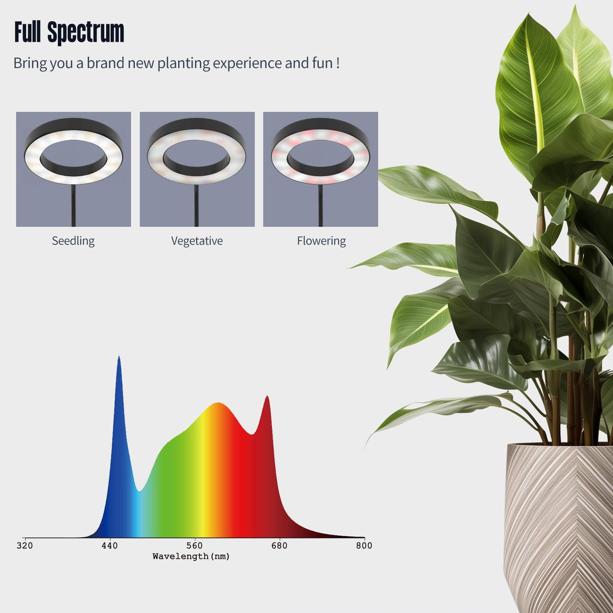 GLOWRIUM timer and dimming panel simplifies light scheduling