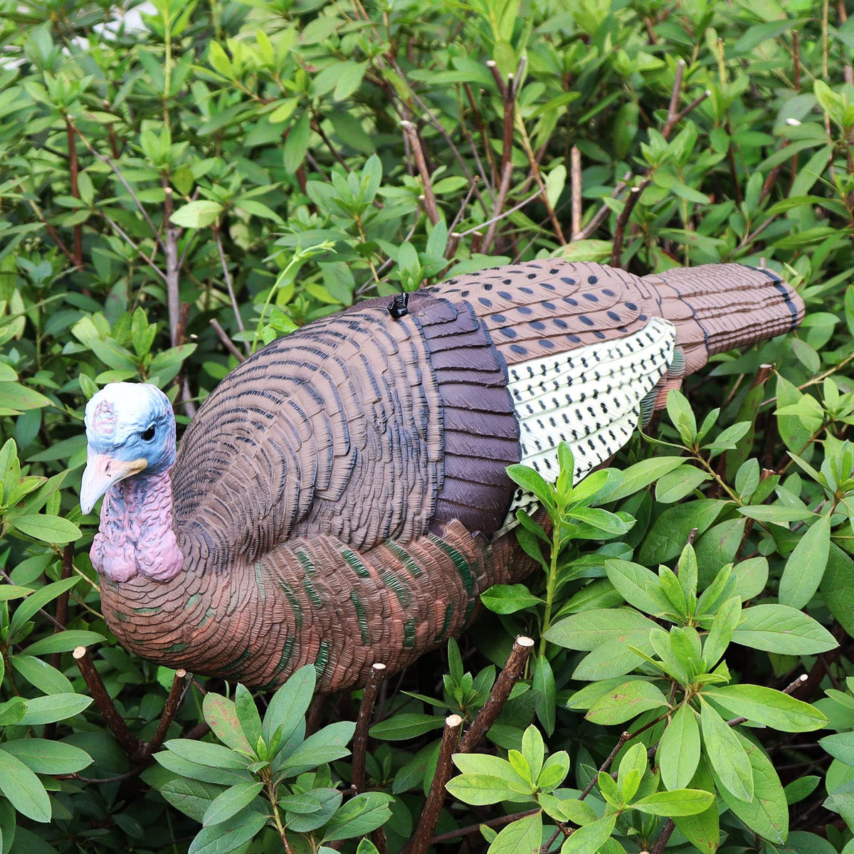 GLOWYE decoy made from durable resin stands up to hunting conditions.