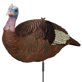 GLOWYE hen turkey decoy with realistic feathers to attract turkeys.