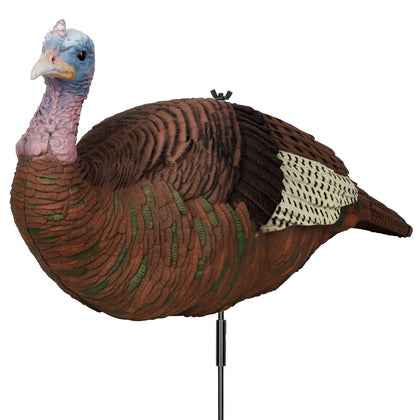 GLOWYE hen turkey decoy with realistic feathers to attract turkeys.
